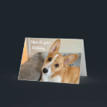 Cute Corgi Foto Funny Dog Lover Birthday Kaart<br><div class="desc">Ik hoor dat het jouw verjaardag is... een grappige Pembroke Welsh Corgi verjaardagskaart met een schattige woordspeling en een schattige hondenfoto. Deze  pop-upfoto- en humor-offerte kan aan de binnenkant worden aangepast.</div>