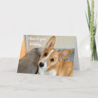Cute Corgi Foto Funny Dog Lover Birthday