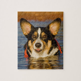 Cute Corgi Legpuzzel