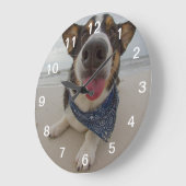 Cute Corgi met Tongue uit Grote Klok (Hoek)