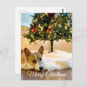 Cute Corgi onder de kerstboom Briefkaart (Voorkant / Achterkant)