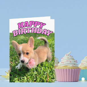 Cute Corgi Puppy Birthday Card Kaart