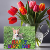 Cute Corgi Puppy Dog Fotografie Regenboogdag