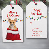 Cute Corgi Puppy Dog in Santa Bag Cadeaulabel