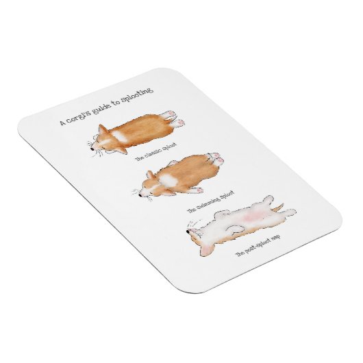 Cute corgi puppy guide to splooling magnet magneet (Rechterzijde)