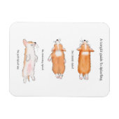 Cute corgi puppy guide to splooling magnet magneet (Horizontaal)