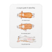 Cute corgi puppy guide to splooling magnet magneet (Verticaal)