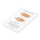 Cute corgi puppy guide to splooling magnet magneet (Linkerzijde)
