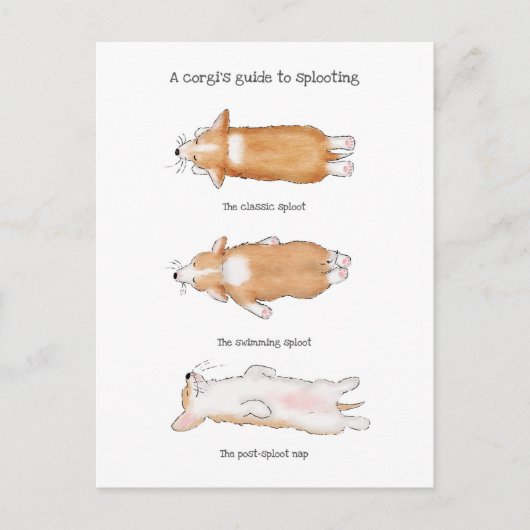 Cute corgi puppy guide to splooting briefkaart (Voorkant)