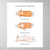 Cute corgi puppy guide to splooting poster (Voorkant)