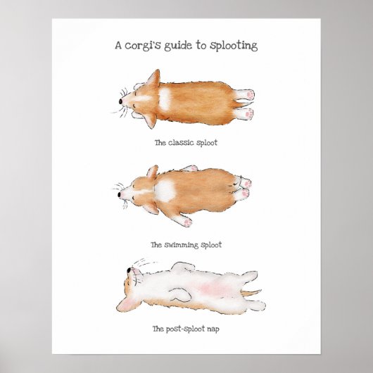 Cute corgi puppy guide to splooting poster (Voorkant)