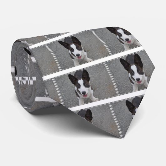 Cute Corgi Puppy Stropdas (Opgerold)