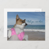 Cute Corgi Summer Vacation wou dat je hier Kaart w (Voorkant / Achterkant)