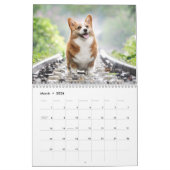 Cute Corgis! Puppy/hond Kalender (Mar 2026)