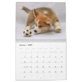 Cute Corgis! Puppy/hond Kalender (Jan 2027)
