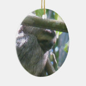 Cute Costa Rica luiaard ornament (Rechts)