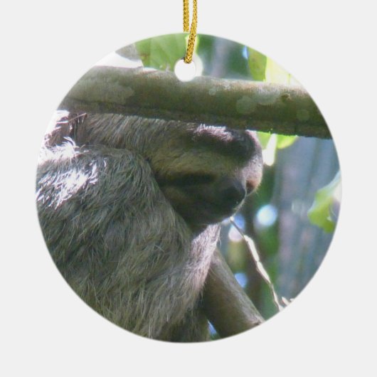 Cute Costa Rica luiaard ornament (Voorkant)