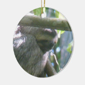 Cute Costa Rica luiaard ornament (Links)