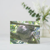Cute Costa Rica Sloth DIY Postcard Feestdagenkaart (Staand voorkant)