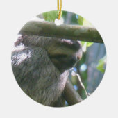 Cute Costa Rica Sloth Ornament (Voorkant)