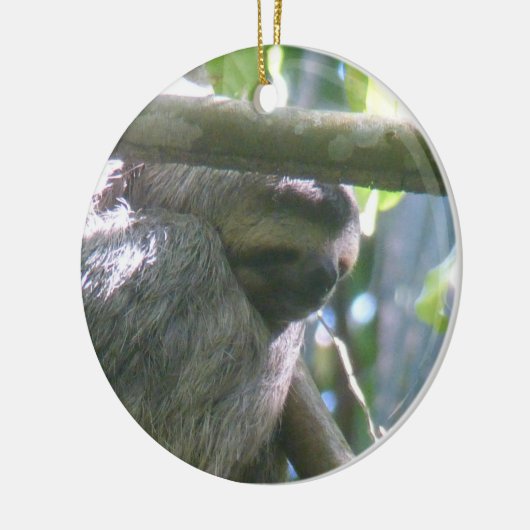 Cute Costa Rica Sloth Ornament (Links)