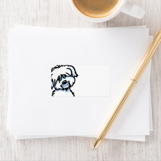 Cute Coton de Tulear Etiket (Insitu)