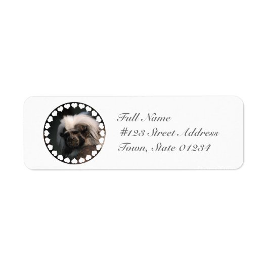 Cute Cotton Topped Tamarin Mailing Labels (Voorkant)