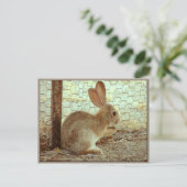 Cute Cottontail Bunny Briefkaart (Staand voorkant)