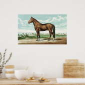 Cute country  horse decor poster (Keuken)