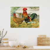 Cute country roster hen  keukenposter poster (Keuken)
