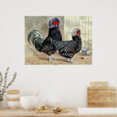 Cute country roster hen  keukenposter poster (Keuken)