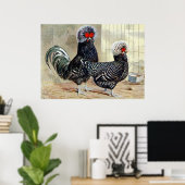 Cute country roster hen  keukenposter poster (Thuiskantoor)