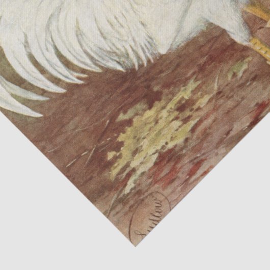 Cute country  roster hen party tissuepapier (Detail)