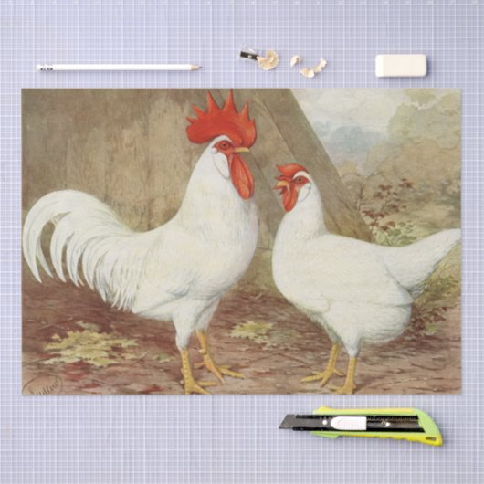 Cute country  roster hen party tissuepapier (Craft)