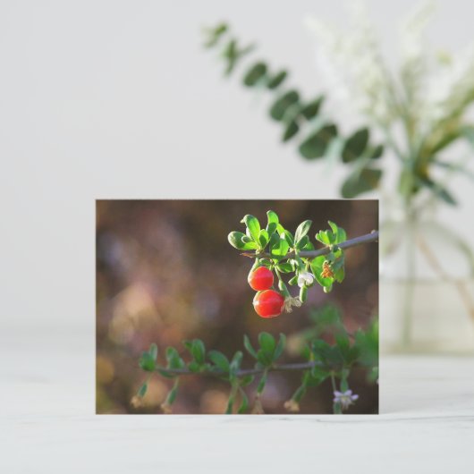Cute Couple Berries Briefkaart (Staand voorkant)