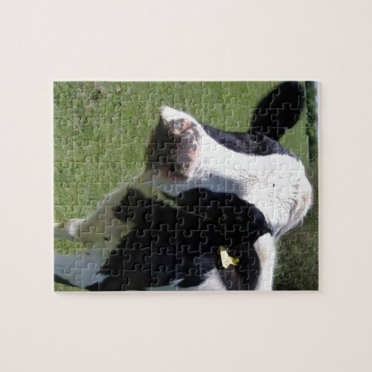 Cute Cow Legpuzzel (Horizontaal)