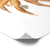 Cute crab tekening poster (Hoek)