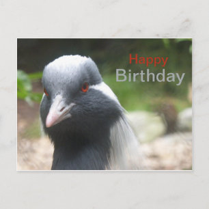 Cute Crane Happy Birthday Briefkaart