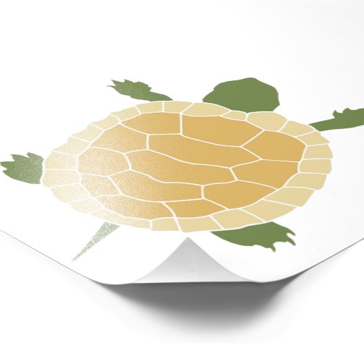 Cute Crawling Little Turtle Tortoise Foto Afdruk (Hoek)