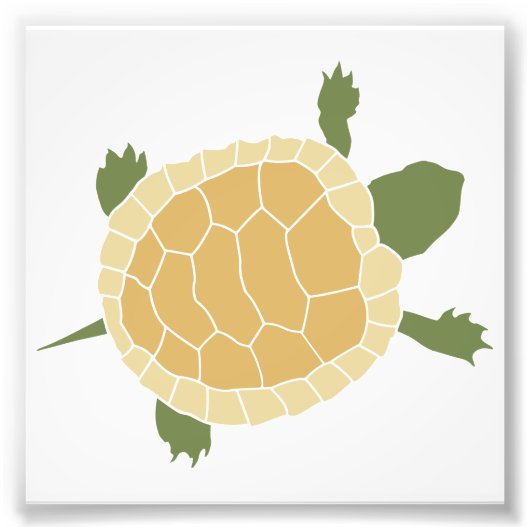 Cute Crawling Little Turtle Tortoise Foto Afdruk (Voorkant)