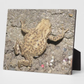 Cute Crawling Toad Plaque Fotoplaat (Zijkant)