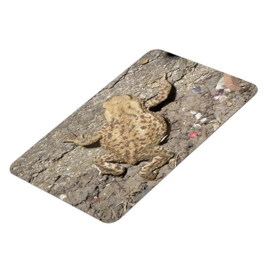 Cute Crawling Toad Premium Magnet Magneet (Linkerzijde)
