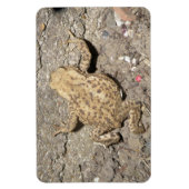 Cute Crawling Toad Premium Magnet Magneet (Verticaal)