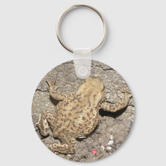 Cute Crawling Toad Sleutelhanger (Voorkant)