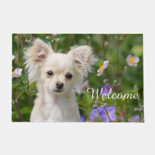 Cute crème Chihuahua Dog Puppy Pet Photo/Welcome Deurmat