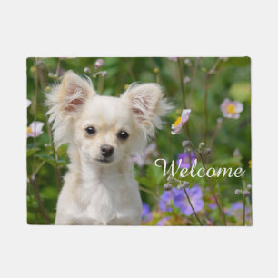 Cute crème Chihuahua Dog Puppy Pet Photo - Welkom Deurmat