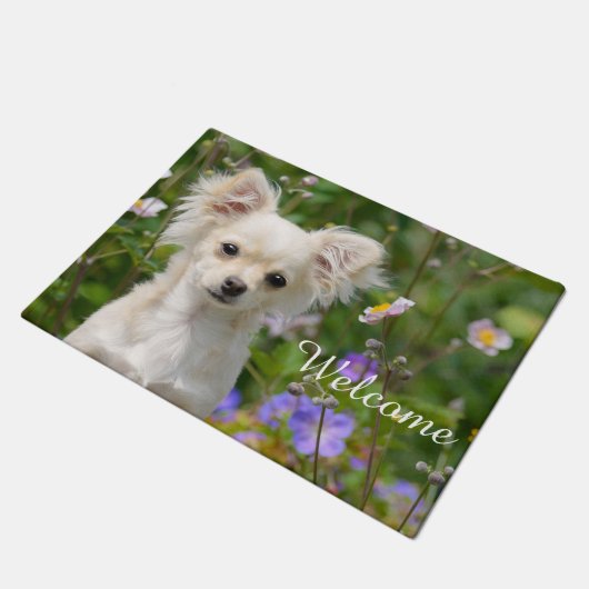 Cute crème Chihuahua Dog Puppy Pet Photo - Welkom Deurmat (Schuin)