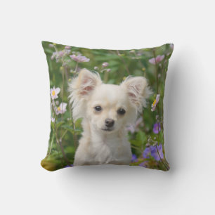 Cute crème Chihuahua Dog Puppy Photo - Buitenkussen