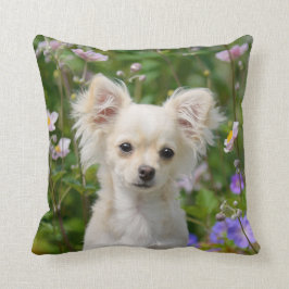 Cute crème Chihuahua Dog Puppy Photo - Kussen
