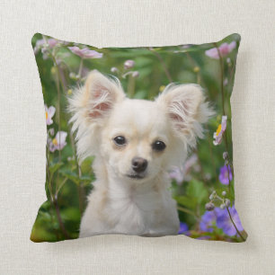 Cute crème Chihuahua Dog Puppy Photo - Kussen